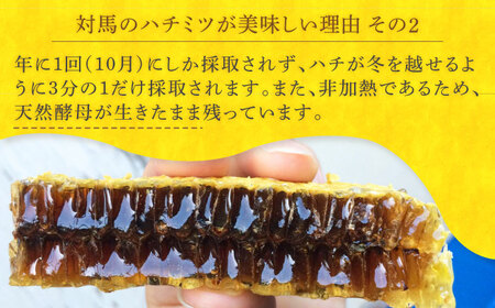 対馬 和蜂 はちみつ 300g×1本 《対馬市》【特定非営利活動法人 對馬次世代協議会（対馬コノソレ）】 蜂蜜 ハチミツ 日本ミツバチ ニホンミツバチ[WAM034]