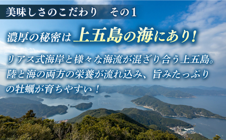 【期間限定！】 養殖カキ 五島小町　生食用 養殖 牡蠣 かき 殻付き 約1.3kg　約25個入　【五島オイスター】[RCN001]