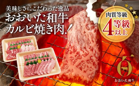 おおいた和牛 焼肉 300g×2P | 焼肉 津久見市