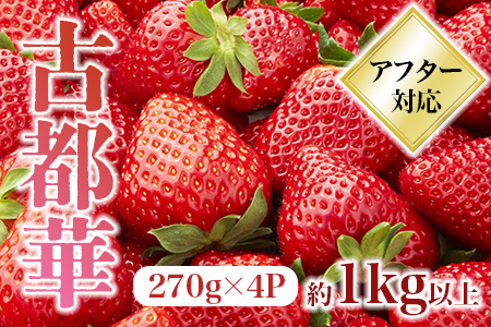 【2026年（令和8年）1月～発送】 いちご 古都華いちご 4P idm002