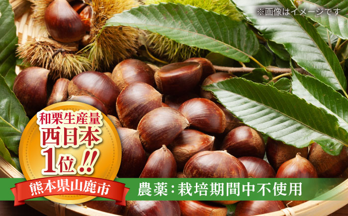 むき栗 約750ｇ（約250g×3pc） 【すみれファーム】 [ZEP064]