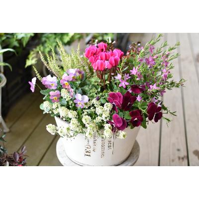 ふるさと納税 小林市 季節の寄せ植え【風の丘ガーデン】 |  | 01