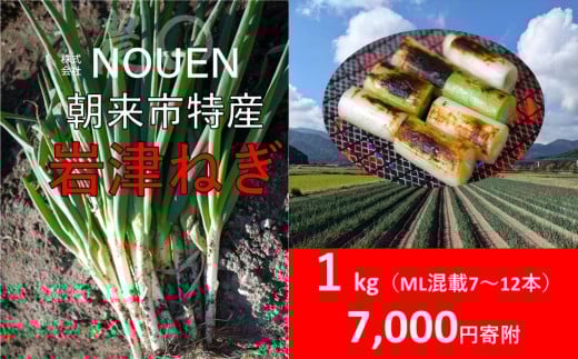 朝来市特産 岩津ねぎ 1kg <太さにより7～12本> MLサイズ混載 希少 栄養豊富 期間限定 甘い 太い 柔らかい すき焼き 焼きねぎ 天ぷら 鍋 NOUEN 出荷期間12月上旬から2月上旬 兵庫県 朝来市 「岩津ねぎを核とした資源循環型農業システム」が日本農業遺産に認定