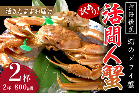 カニ ズワイガニ ／【訳あり！！幻のズワイ蟹】　京丹後産　活間人蟹　鮮度抜群、活きたままお届け！！ 800g級（足1本落ち）×2杯 カニ 蟹 ズワイガニ ズワイ蟹 ブランド蟹 間人蟹 間人ガニ 活き間人ガニ 活間人蟹 カニ味噌 蟹味噌タグ付き 訳あり 訳アリ 