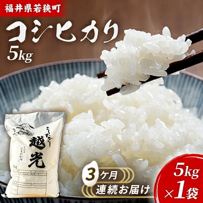 【ふるさと納税】3ケ月連続 福井県若狭町 コシヒカリ （一等米） 5kg（神谷農園） お米 ブランド米 銘柄米 ご飯 おにぎり お弁当 産地直送 和食 主食 　お届け：2025年10月より順次出荷致します。