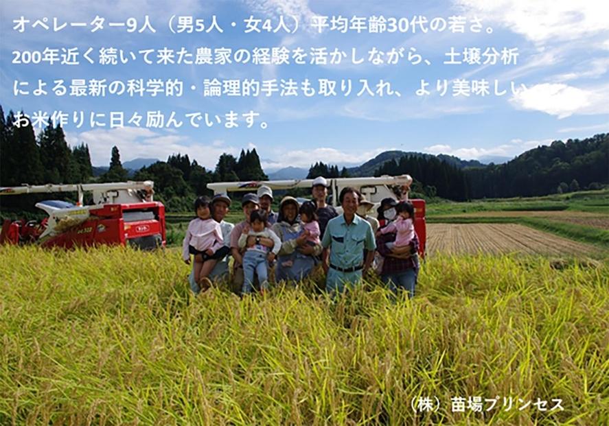 【令和8年産先行予約】魚沼産こがねもち 精米10kg（5kg×2）特別栽培米 農薬化学肥料5割減127523-106