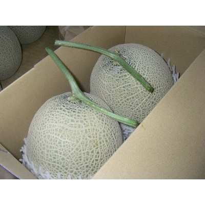 木曽岬産マスクメロン　2玉(1玉1.5kg以上)　令和6年7月25日から発送