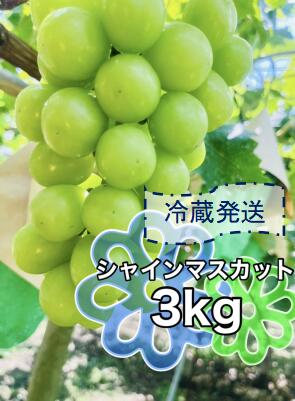 【ふるさと納税】＜2026年発送先行予約＞クール便で新鮮にお届け！シャインマスカット 3kg（4～6房） ふるさと納税 シャインマスカット ぶどう 葡萄 おすすめ 山梨県 南アルプス市 送料無料 ALPEG006