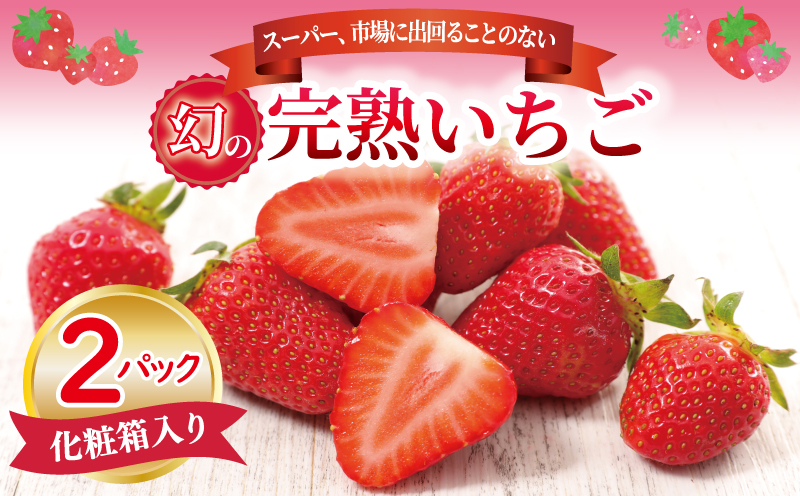 【先行予約】朝摘み 完熟いちご 2パック【化粧箱入り 苺 無添加 自然素材 フルーツ イチゴ 高評価 数量限定】 G1491