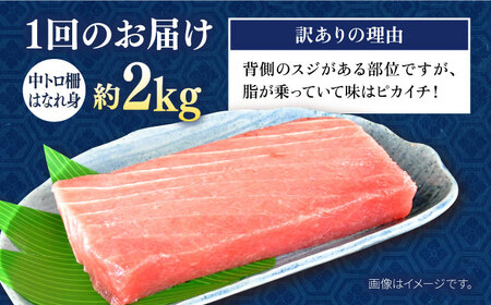 【全3回定期便】【訳あり】天然 まぐろ 中トロ柵 はなれ身（2kg） 鮪 マグロ 魚 刺身 横須賀【横須賀商工会議所 おもてなしギフト事務局（本まぐろ直売所）】 [AKAK065]