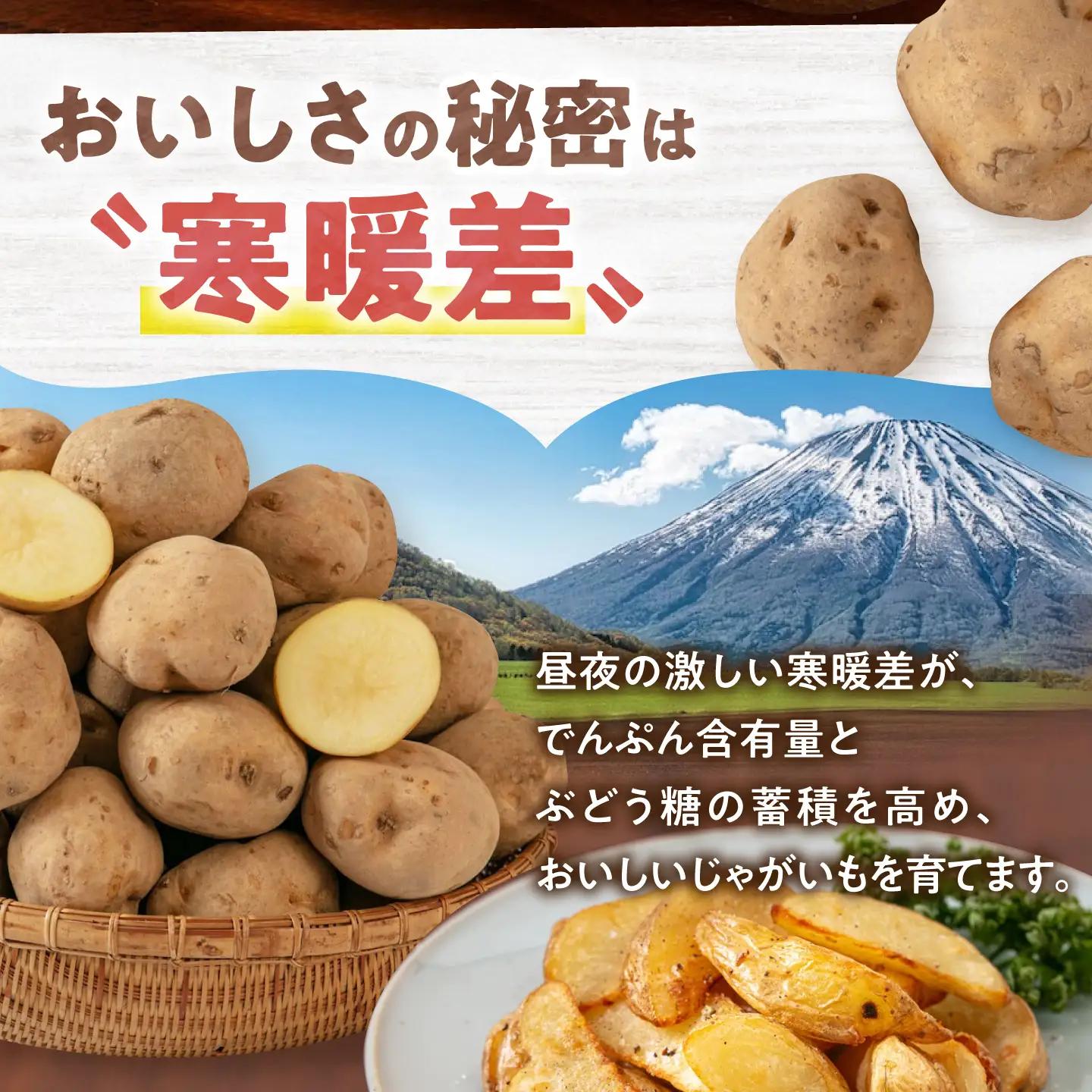 【全3回定期便】【10月〜12月発送】じゃがいも  [AJAK022] 男爵芋 20kg