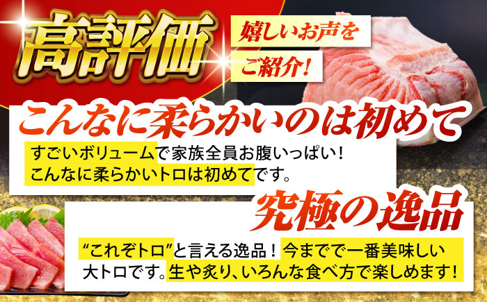 【全12回定期便 (月1回) 】長崎県産 本マグロ 大トロ皮付き 約600g 【大村湾漁業協同組合】 [BAK030] / マグロ まぐろ大トロ 大とろ 刺身