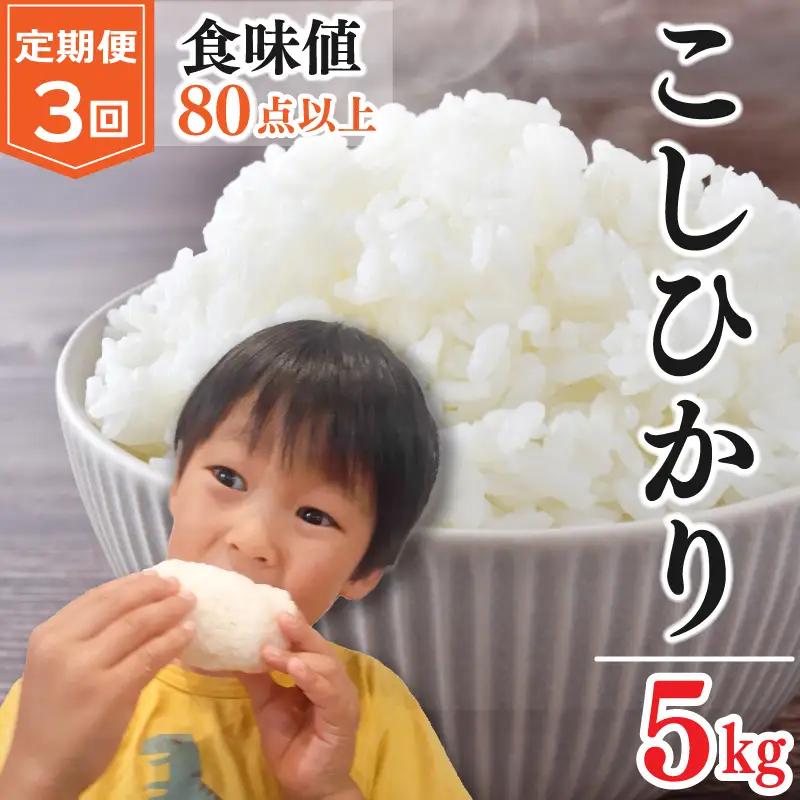 お米 コシヒカリ 5kg 定期便3回 令和8年産 【 米 】