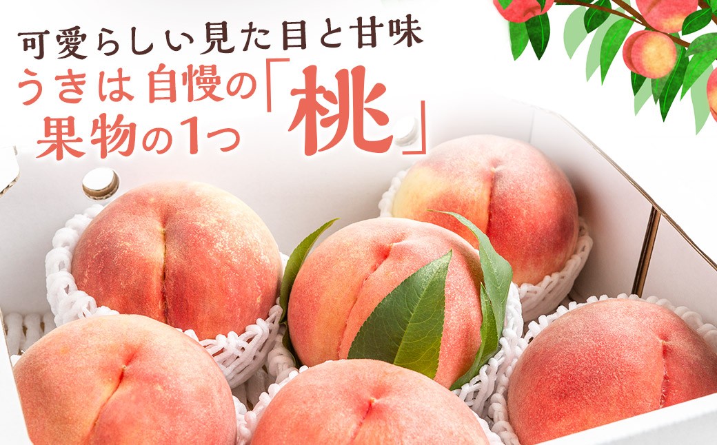 【先行予約】 道の駅うきは 桃 6玉から7玉 （約2kg）