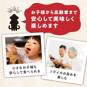 冷凍保存Ｏk！エメラルドブルーの美しい海で育ったおいしいソデイカ冷凍ブロック2キロ（7～8人前）！ W022-030u 魚 冷凍 イカ 加工品
