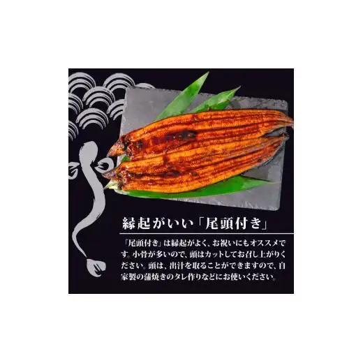うなぎ 蒲焼き 特大 鰻 200g×20尾 セット蒲焼きのタレ 付き 冷凍 高知県 須崎市 （うなぎ 蒲焼き 冷凍 スタミナ 土用の丑の日 タレ 小分け タレ付 鰻 ウナギ）