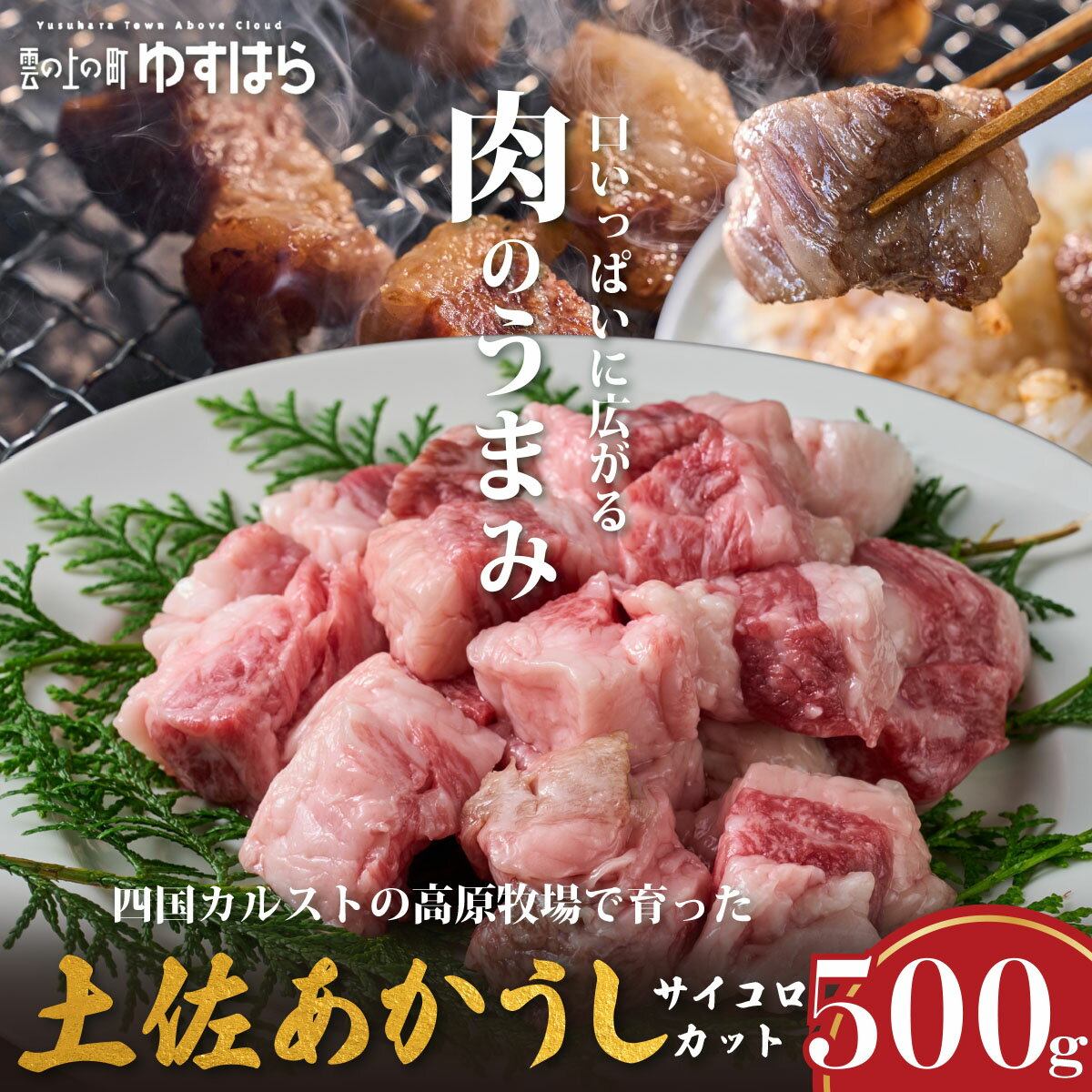 【ふるさと納税】低温でも脂身がとろける土佐あかうしサイコロカット 500g　牛肉 和牛 国産 BBQ オレイン酸 高知県産