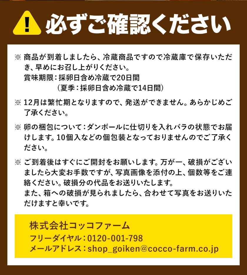 コッコファームのたまご 80個 コッコファーム《90日以内に出荷予定(土日祝除く)》熊本県 菊池市 卵 鶏卵 玉子 たまご 家庭用 熊本県産 九州産 冷蔵 送料無料---043-2020---