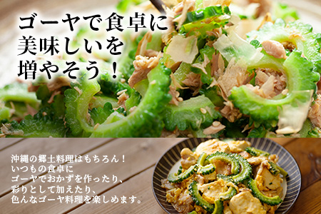 【先行予約】南国石垣島では冬が旬！朝採れ「ゴーヤ」大5本セット！減農薬！最優秀賞受賞の農家から！OI-9