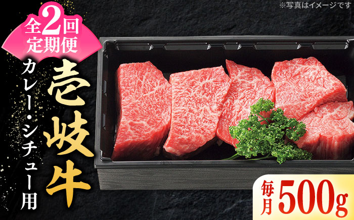 【全2回定期便】 特選 壱岐牛 すね肉 500g（カレー・シチュー用）《壱岐市》【太陽商事】 肉 牛肉 黒毛和牛 ブランド牛 カレー シチュー 赤身 チマキ 煮込み ブロック 国産 九州 [JDL127]