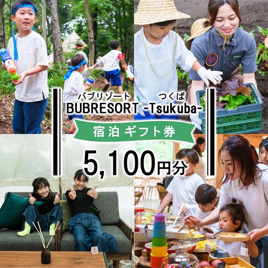 【ふるさと納税】【ふるさとeチケット】BUB RESORT Tsukuba 利用クーポン券(5100円分）| 茨城県 つくば市 グランピング キャンプ リゾート 体験 アクティビティ 宿泊 家族 子供 ファミリー 体験型 バブリゾート BUB BUBRESORT テーマパーク 宿泊券 宿泊チケット ホテル 宿