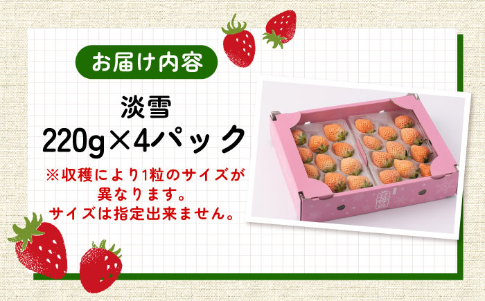 【2026年発送分 先行予約】淡いピンクの白いちご「淡雪」220g×4パック / フルーツ / 佐賀県 / 岸川農園 [41ASAG013]