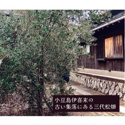 ふるさと納税 土庄町 季節限定　摘みたて100%小豆島産三代松家オリーブの新漬け80g×1袋 |  | 01