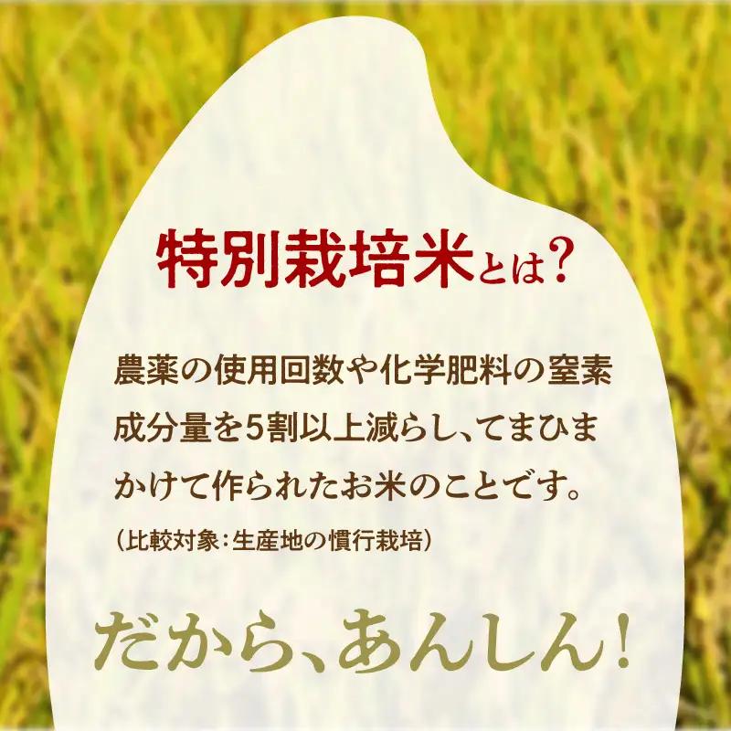 令和8年産 特別栽培米コシヒカリ 丹後椿（京丹後森本産） 2kg