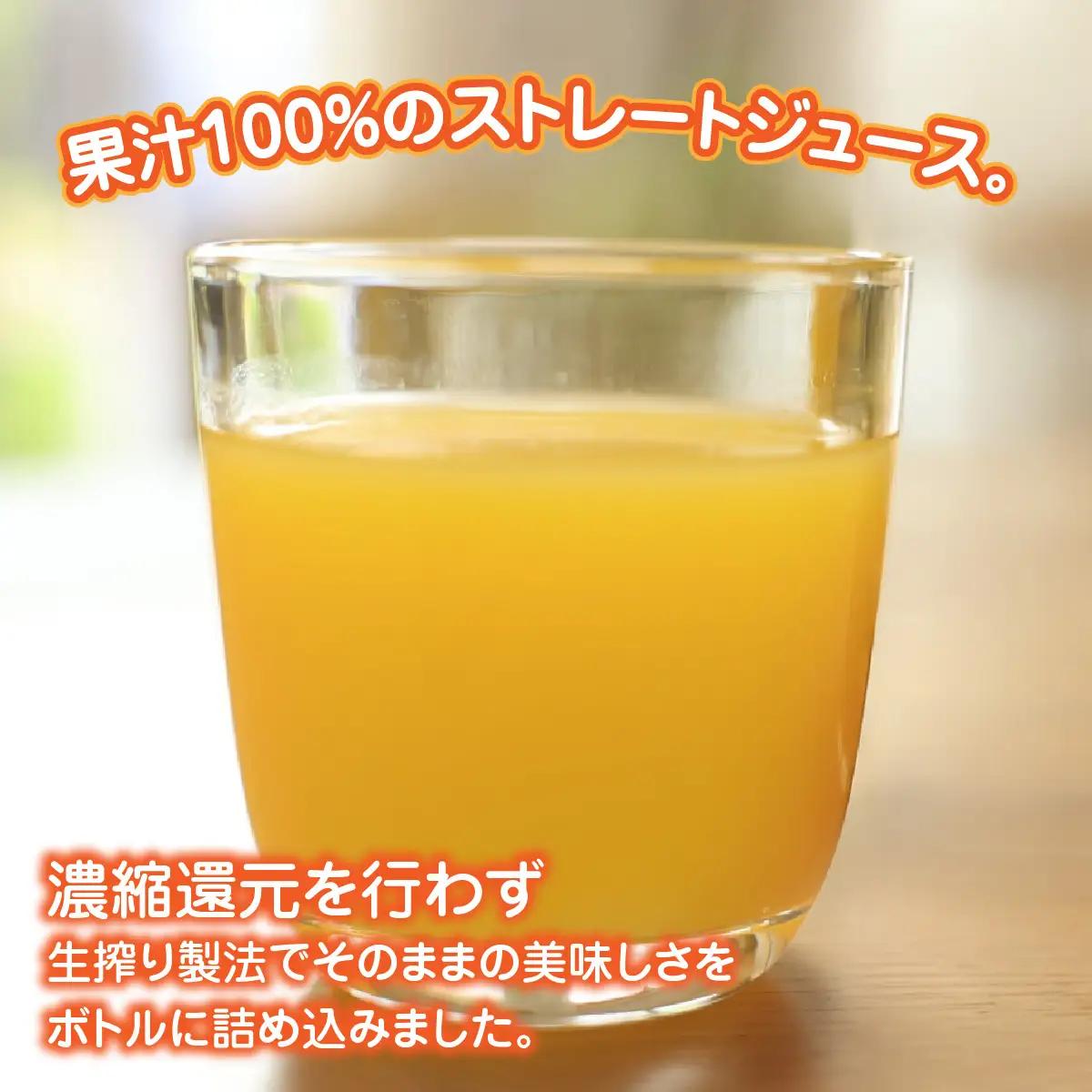 飲み比べセット清見オレンジ100%ジュース720ml×３河内晩柑100%ジュース720ml×３【91-6】 YWTB006