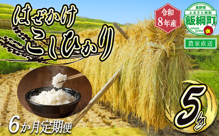 米 はぜかけ こしひかり 5kg × 6回 【 6か月 定期便 】( 令和8年産 ) 増田さんちのお米 2026年11月上旬頃から順次発送予定 コシヒカリ 白米 精米 お米 信州 天日干し 予約 農家直送 長野県 飯綱町 [0642]
