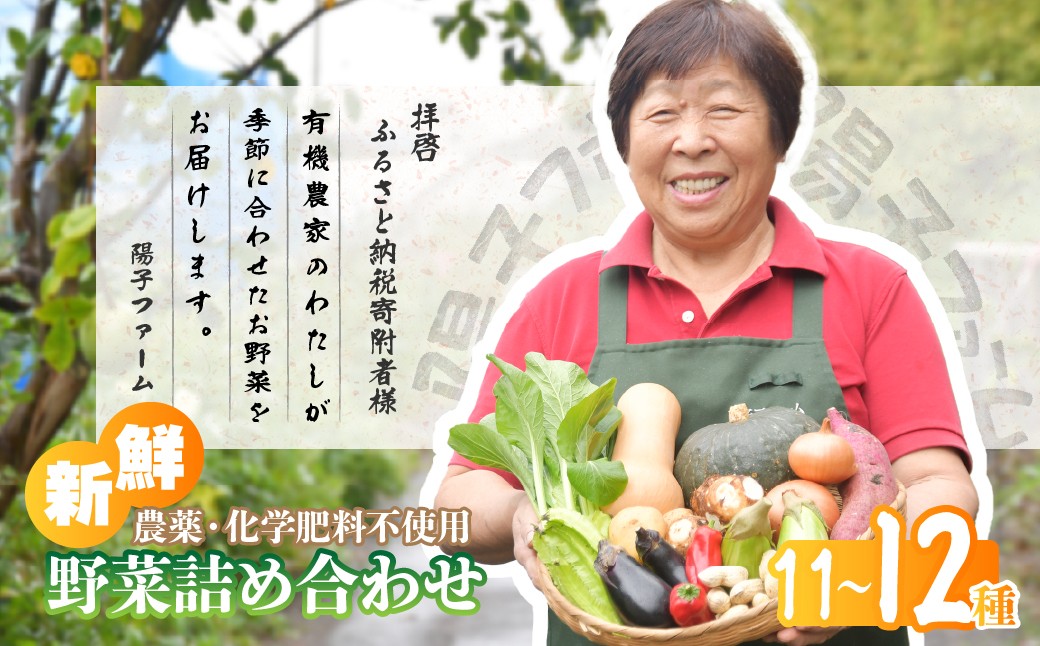 
            旬の野菜詰め合わせ11種~12種 | 野菜 季節の野菜 旬の野菜 新鮮野菜 産地直送 栽培期間中農薬不使用 有機 オーガニック フレッシュ セット 詰め合わせ サラダ 料理 炒め物 煮物 スムージー 旬 おいしい 安全 安心 お取り寄せ ギフト おすすめ 世界農業遺産 埼玉県 所沢市
          