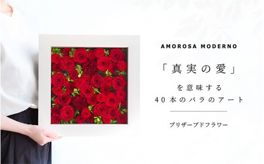 AMOROSA MODERNO パナッシュ(W37-H37) レッド40本 / プリザーブドフラワー インテリア バラ ギフト プレゼント 結婚祝い プロポーズ 記念日 ドライフラワー【upel0011】