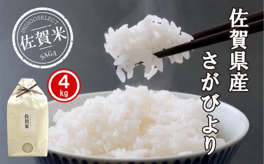 
                  佐賀県産さがびより4kg
                
