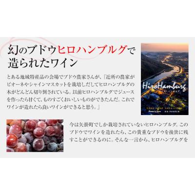 ふるさと納税 矢掛町 酒 日本ワイン 750ml 2本 矢掛放送 岡山県矢掛町《30日以内に出荷予定(土日祝除く)》 |  | 01