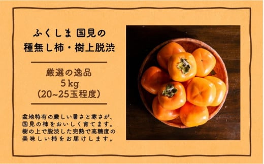 ◆2026年秋発送◆＜ 種無し柿（樹上脱渋）・約5kg ＞ ※2026年10月～発送送予定