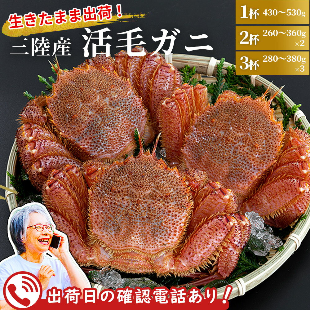 【ふるさと納税】＜ 先行予約＞ 【 発送前電話連絡 あり！】活毛ガニ 1杯 2杯 3杯 ＜令和8年2月上旬から4月頃お届け＞ 三陸産 毛がに 活 毛蟹 かに 海鮮 鮮魚 贅沢 魚介 岩手 釜石 豪華 新鮮 産地直送 生きたまま 事前連絡 電話 発送前連絡 岩手県