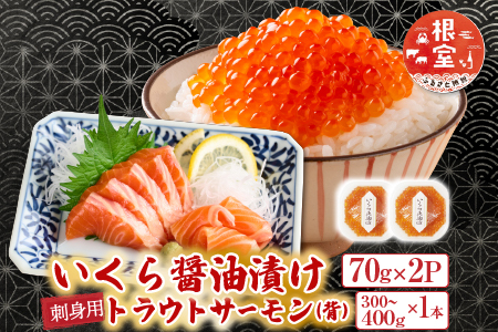 いくら醤油漬け70g×1P・刺身用トラウトサーモン(背)300～400g×1本 A-11209