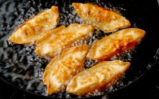 揚げ 餃子 北本トマトカレー セット 餃子20個 +カレー1人前 | ギョウザ 冷凍餃子 ギョーザ 冷凍ギョウザ 冷凍ぎょうざ ぎょうざ ぎょーざ B級 ご当地 グルメ王 入賞 トマト トマトカレー 