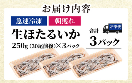 急速冷凍 生ホタルイカ【カネツル砂子商店】