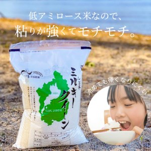 令和８年度産　滋賀県産ミルキークイーン 5kg　低アミロース米 お米 白米  DC-0002