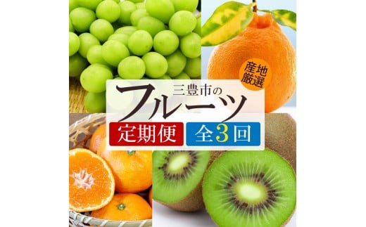 【ふるさと納税】【3回定期便】シャインマスカットと デコポン・旬のフルーツ (温州みかん)