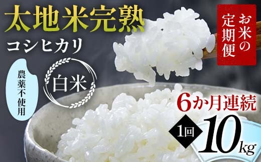 お米の定期便 農薬不使用米 太地米完熟 【こしひかり】 白米10kg×6か月連続 ブランド米 お米 精米 白米 人気 F7X-0421