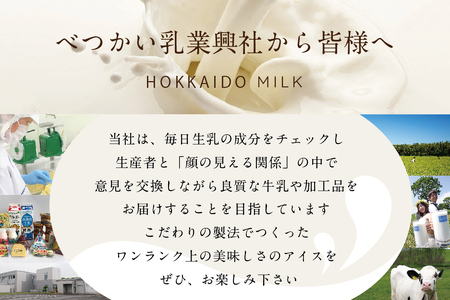アイス！ 高評価★4.8 べつかいのアイスクリーム 4種計12個 BN0000014 （ あいす アイス アイスクリーム 北海道 別海町 セット 詰合せ ギフト 酪農日本一アイス バニラ ストロベリー