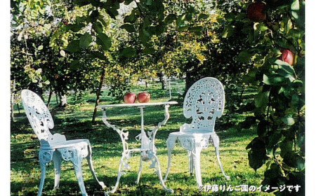 50-C　伊藤りんご園　もりのかがやき　5kg｜りんご 福島県産 リンゴ　※2025年10月上旬頃より順次発送予定