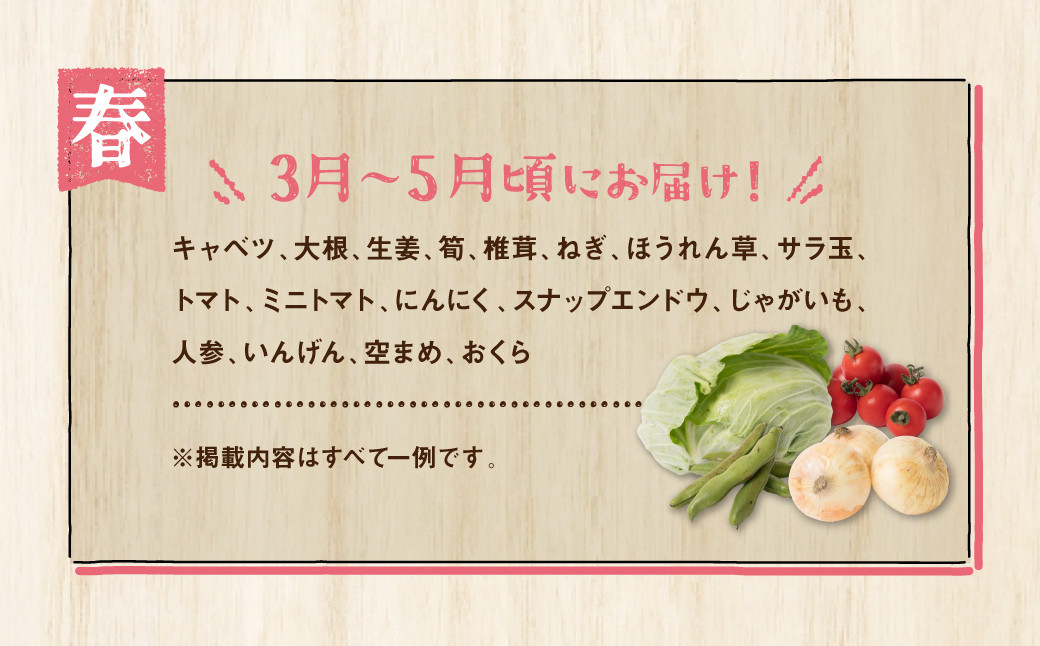 3月～5月頃にお届け！キャベツ、大根、生姜、筍、椎茸、ねぎ、ほうれん草、サラ玉、トマト、ミニトマト、にんにく、スナップエンドウ等