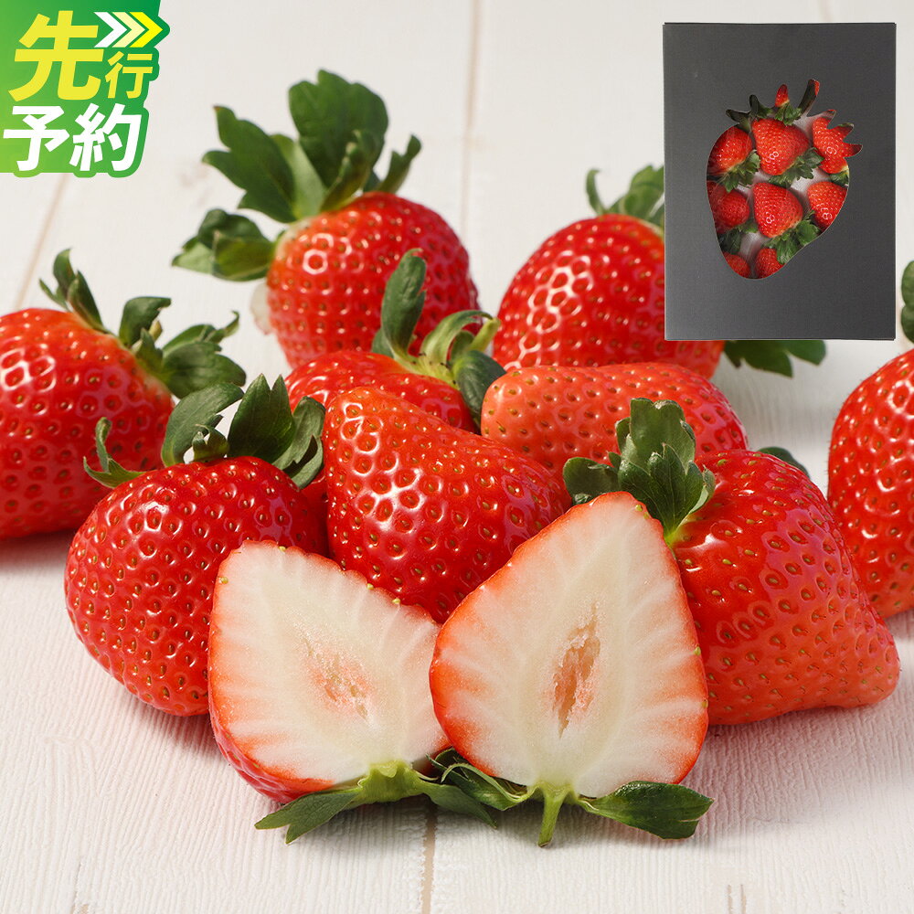 【ふるさと納税】益城産 いちご 約500g 贈答箱入り 品種おまかせ 果物 フルーツ 苺 ギフト 贈り物 益城町産 熊本県産 九州産 冷蔵 【2027年1月上旬-2月下旬発送予定】