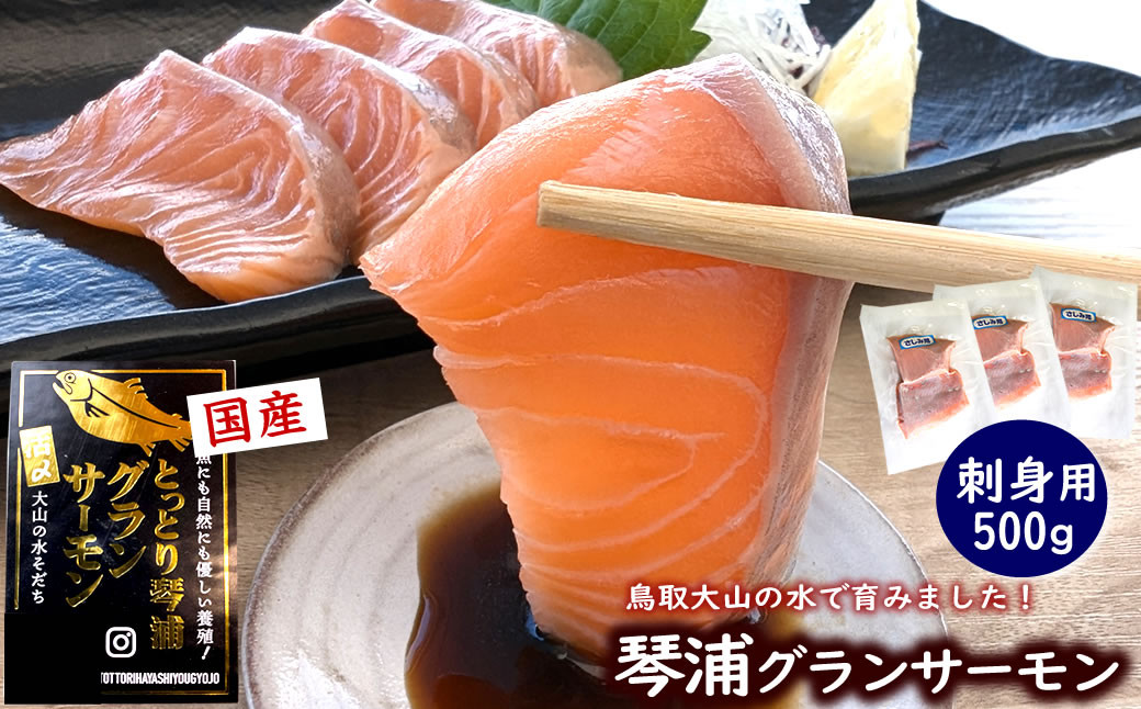 
                  もったいないサーモンほぐし身 2本 国産 鳥取琴浦グランサーモン 無添加 無投薬養殖で安心 訳あり	
                