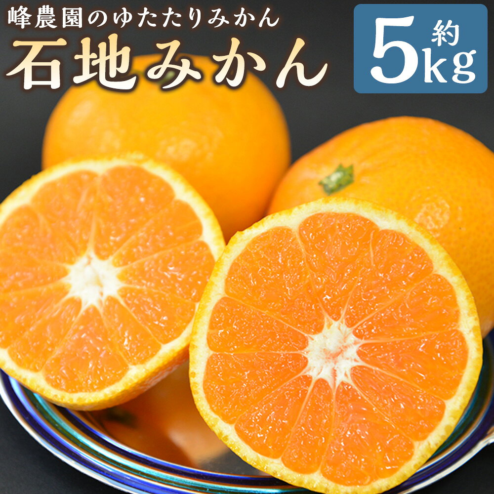 【ふるさと納税】峰農園のゆたたりみかん【石地みかん】5kg フルーツ 果物 くだもの 柑橘 みかん 佐賀県 太良町 M87x1 【2026年12月上旬-2027年1月下旬発送予定】