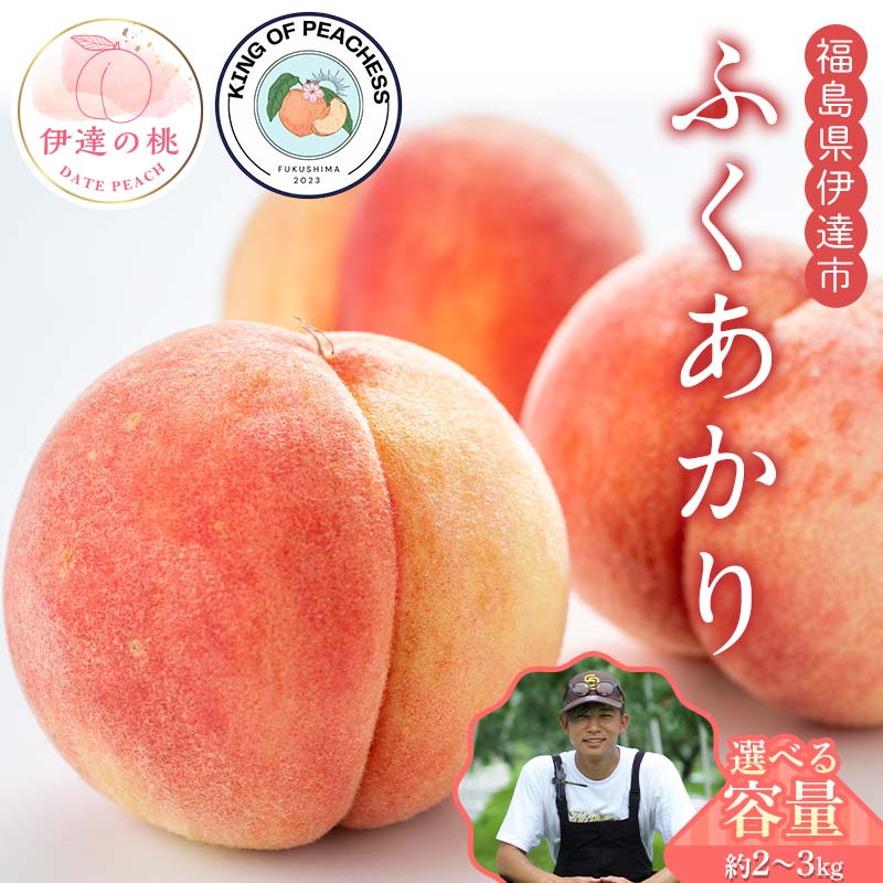 【ふるさと納税】＼容量が選べる／キングオブピーチ 桃 「ふくあかり」約2kg～3kg ふくあかり 伊達の桃 桃 もも モモ 果物 くだもの フルーツ 国産 食品 F21C-135var