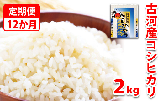 【定期便 12か月】【新米】令和7年産 古河市産コシヒカリ 2kg | 米 こめ コメ こしひかり 単一米 国産 2キロ 定期便 こしひかり コシヒカリ 古河市産 茨城県産 贈答 贈り物 プレゼント 茨城県 古河市 直送 産地直送 送料無料 _DP30
